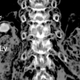 Imagen: Journal of Parasitology.